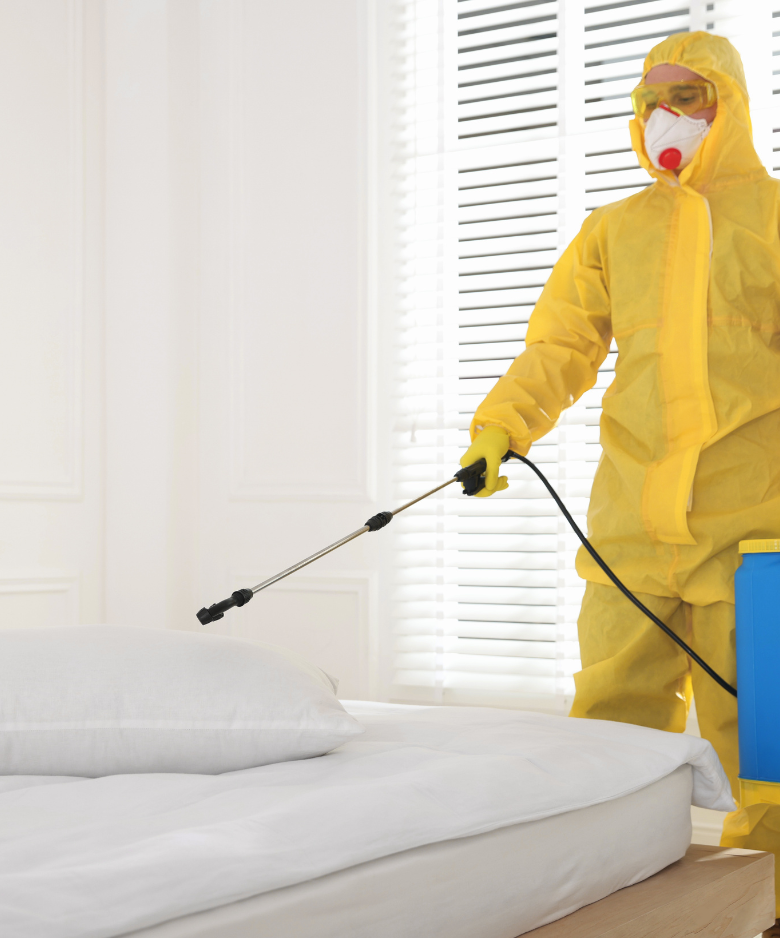 Professional Pest Control Team in Humbug Scrub
